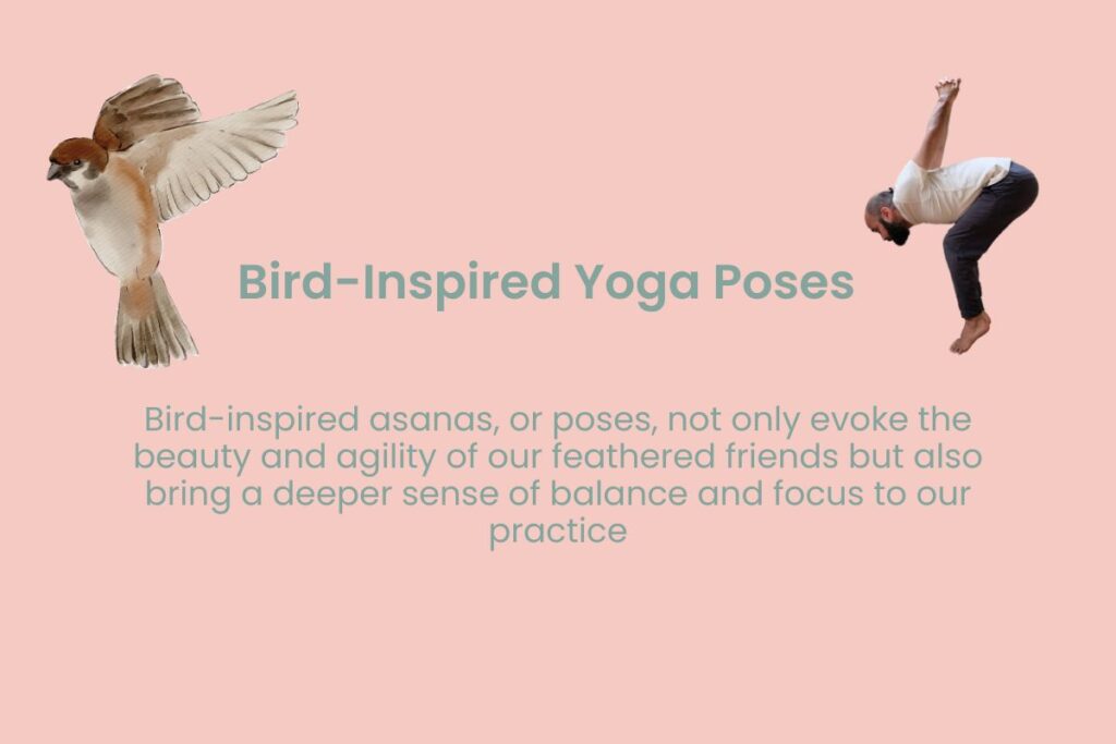 Winged Wonders: Discovering Bird-Inspired Yoga Poses