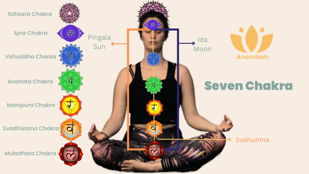 The 7 Chakras A Complete Guide To Your Body s Energy Centers The 7 Chakras A Complete Guide To Your Body s Energy Centers