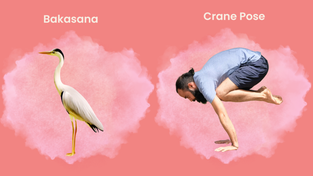 How to do Bakasana?