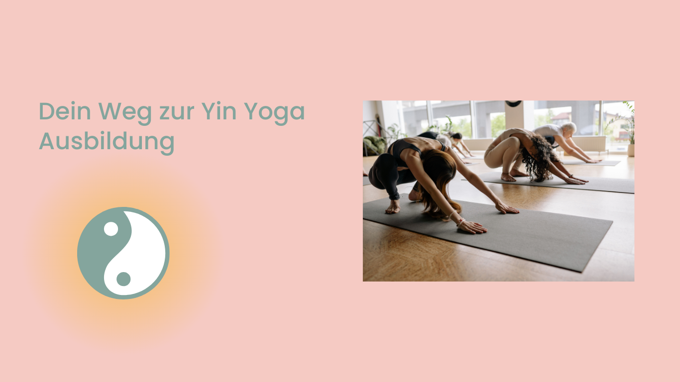 Yin Yoga Ausbildung