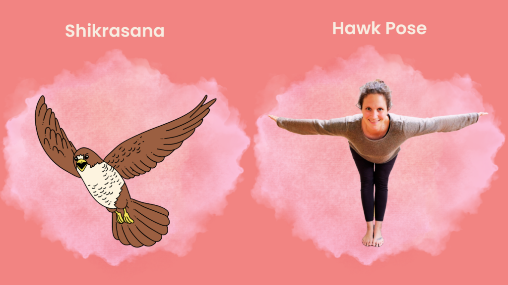 How to do Shikrasana