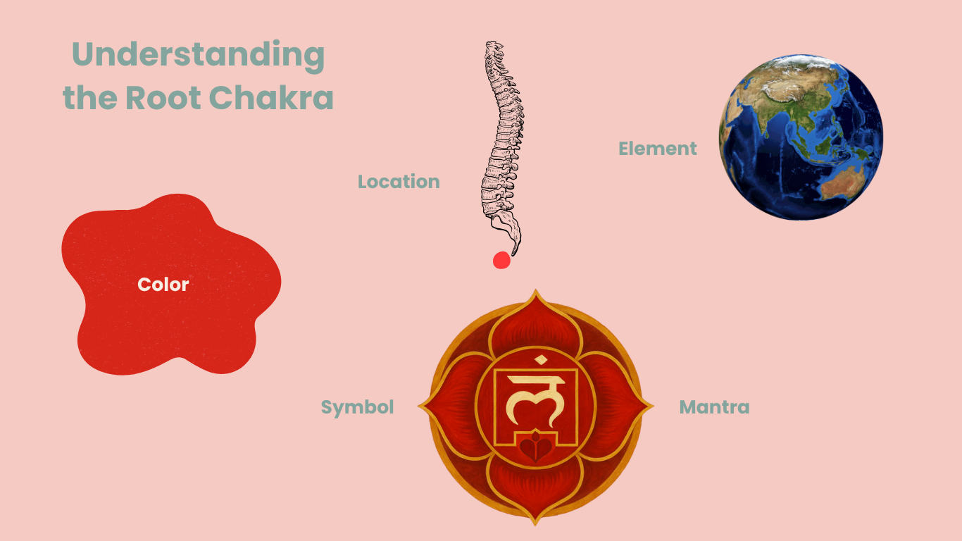 Understanding the Root Chakra