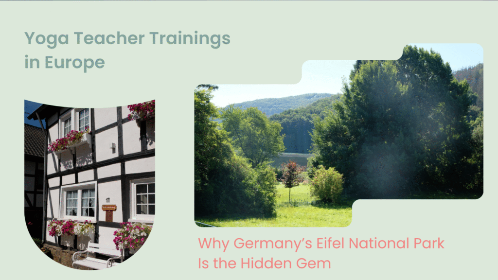 Best Yoga Teacher Training in Europe: Why Germany’s Eifel National Park Is the Hidden Gem