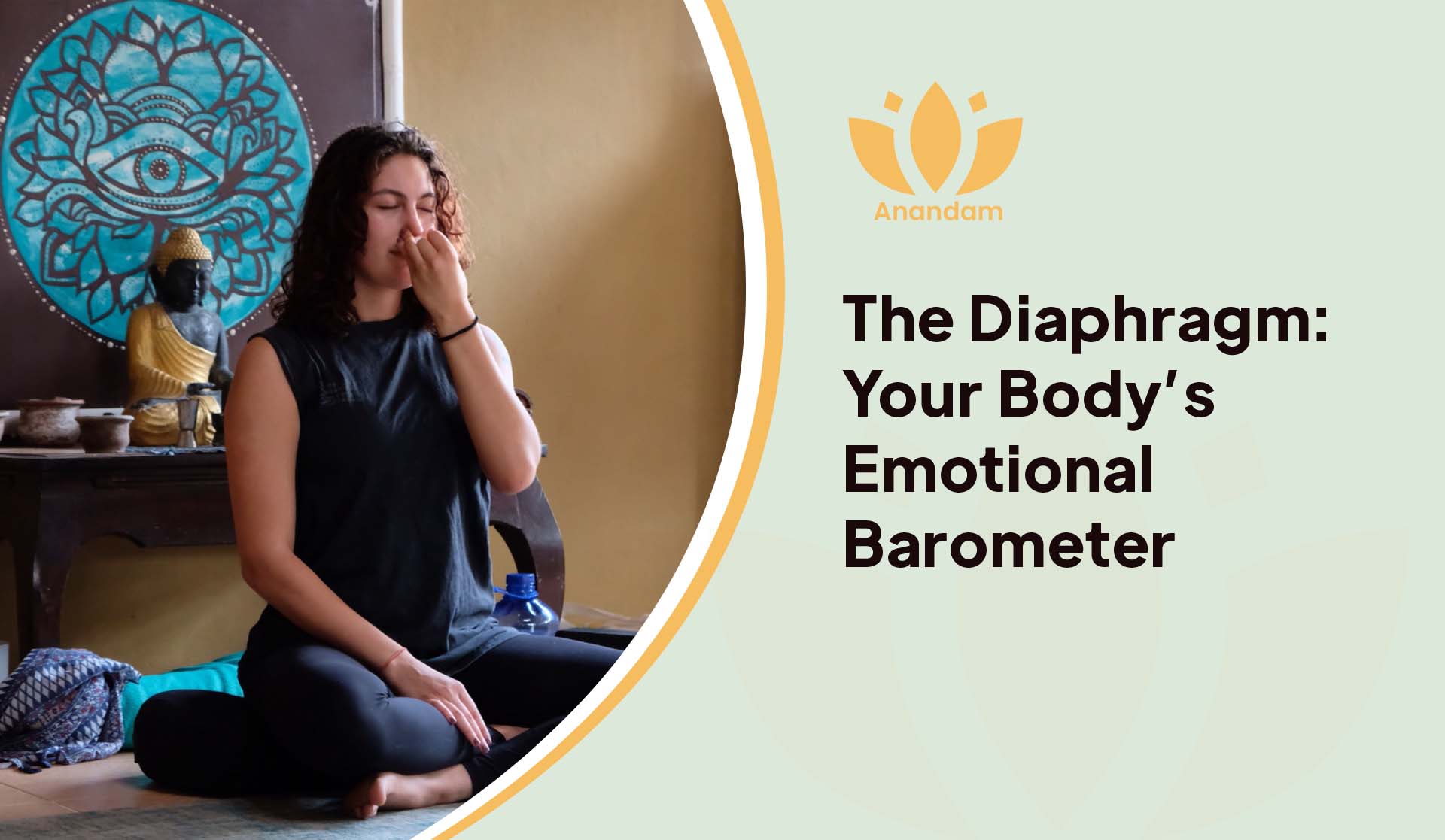 The Diaphragm: Your Body’s Emotional Barometer