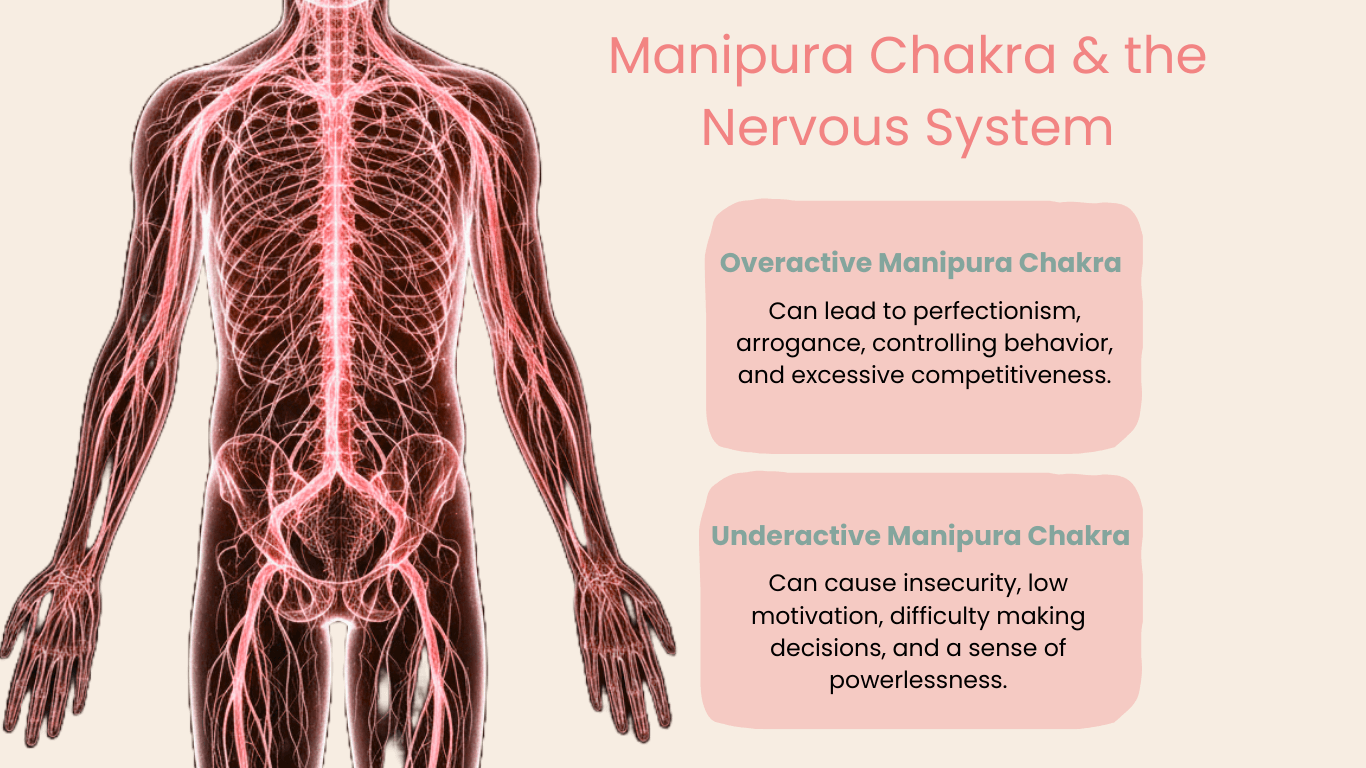 The Solar Plexus Chakra & the Nervous System