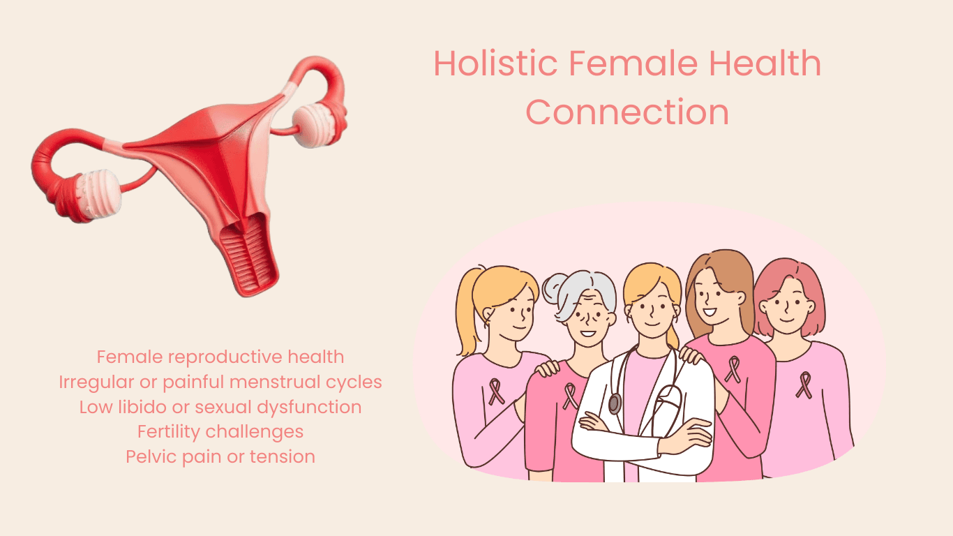Holistic Female Health Connection