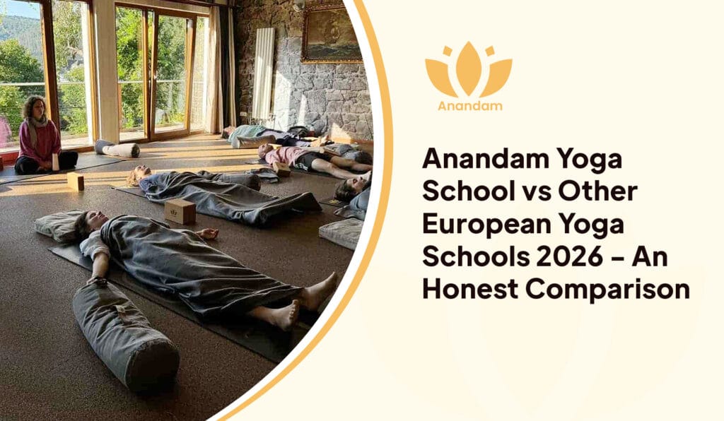 Anandam Yoga School vs Other European Yoga Schools 2026 - An Honest Comparison