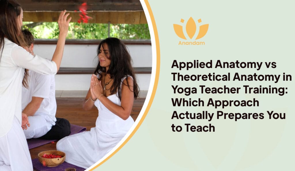 Applied vs Theoretical Anatomy in Yoga Teacher Training