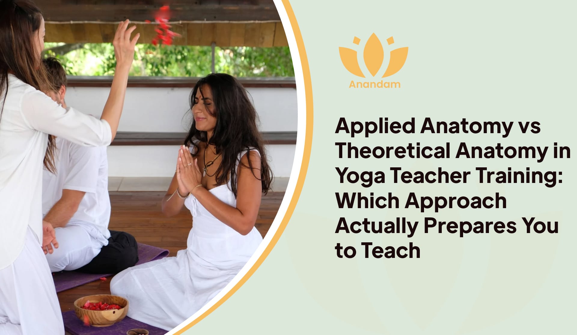 Applied vs Theoretical Anatomy in Yoga Teacher Training